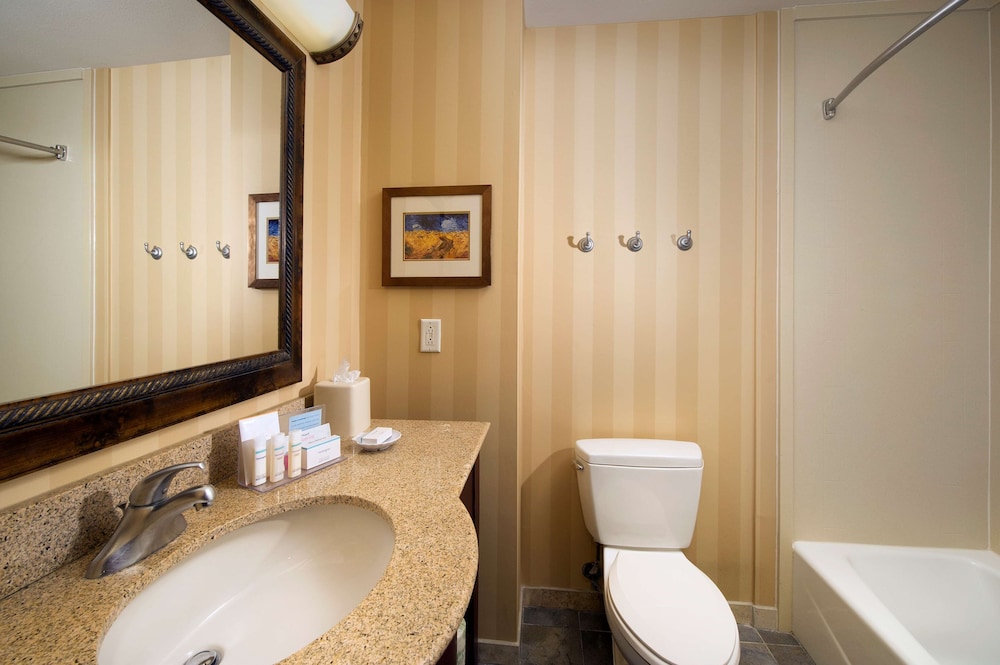 Hampton Inn & Suites San Antonio Airport - photo 20