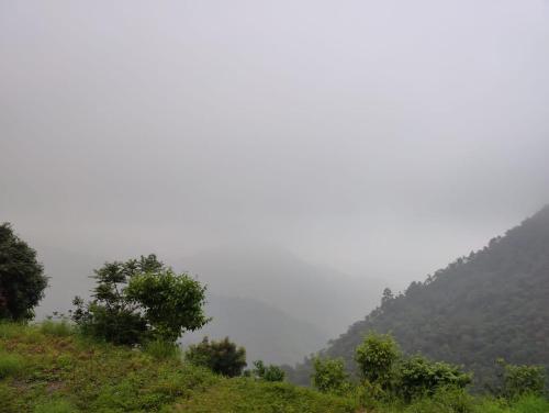 Narayana Lake Hide Out — Bhim Tal — photo 2