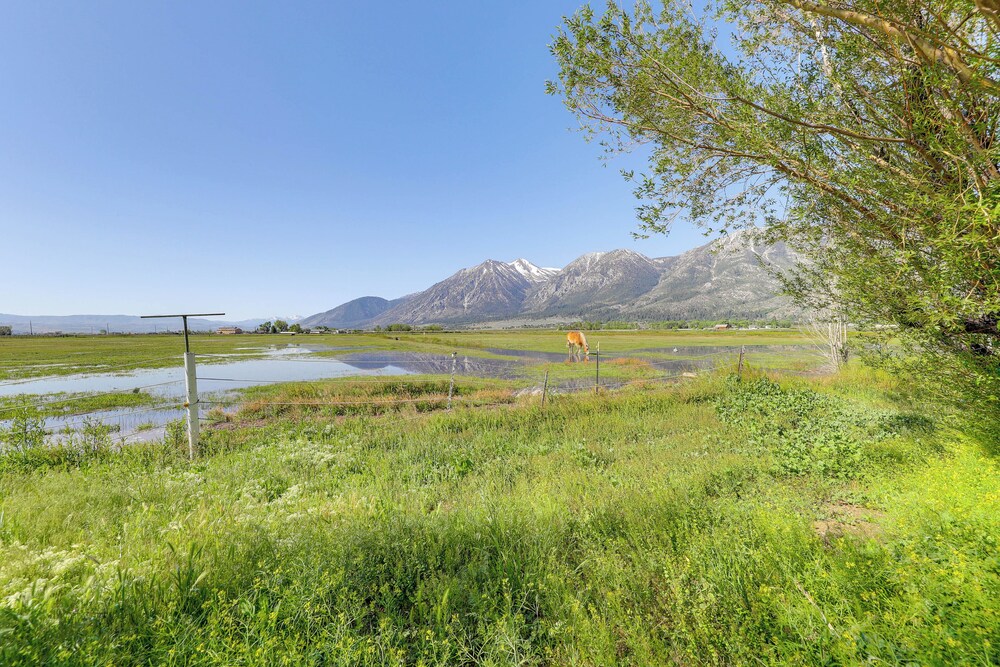 Sierra Nevada Mtn Views: Gardnerville Getaway pet-friendly hotel Gardnerville