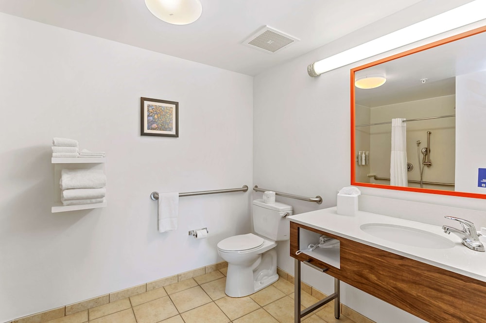 Hampton Inn & Suites Orlando Apopka - photo 54