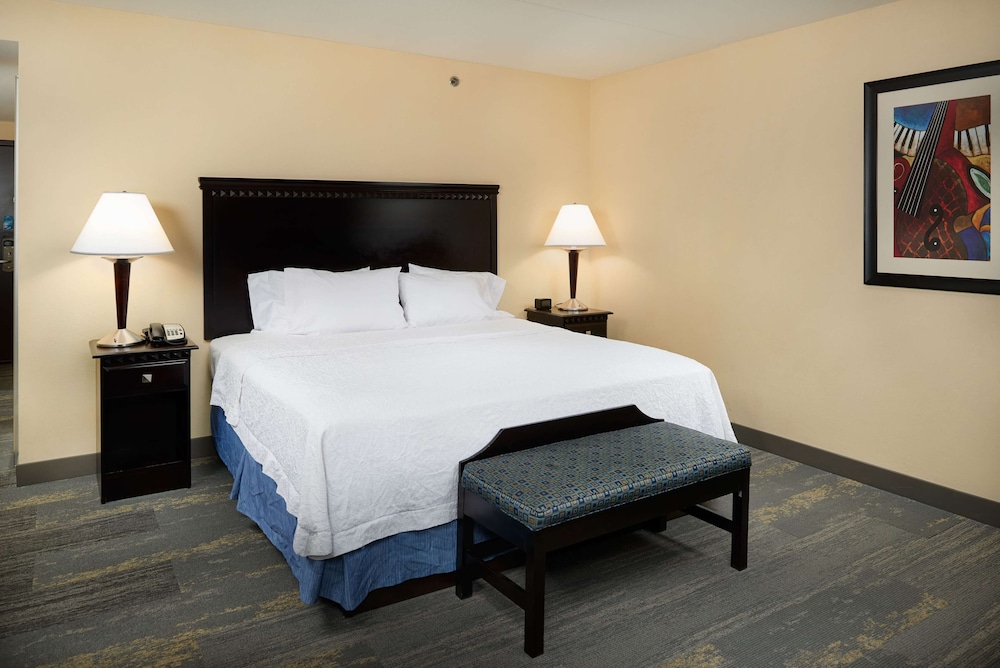 Hampton Inn & Suites Mt. Juliet - photo 13