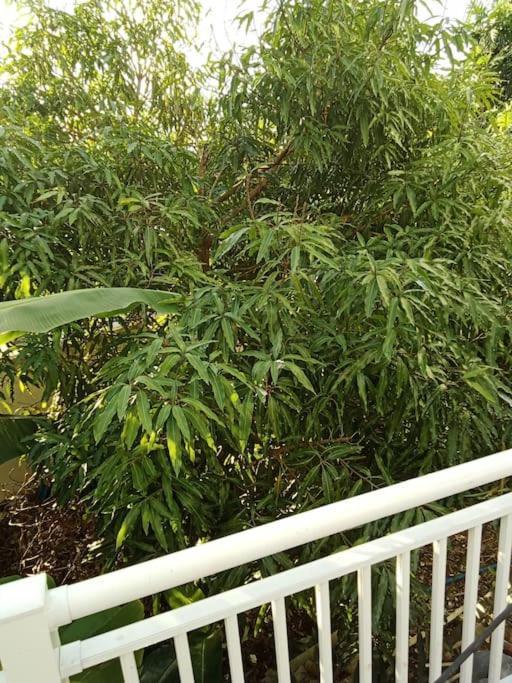 Vacances agréables c’est ici in Les Abymes, Guadeloupe