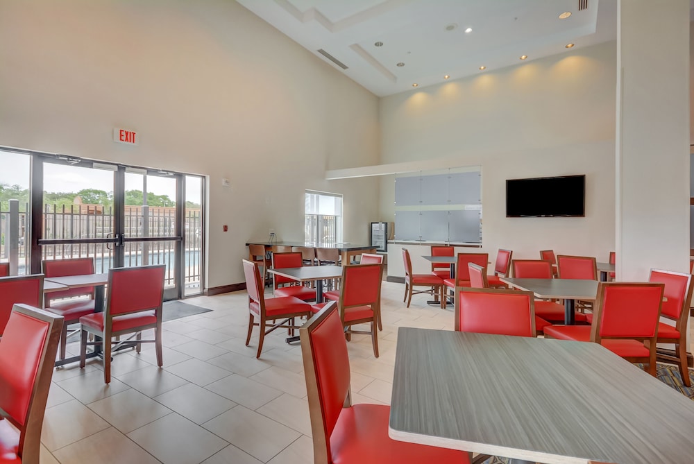 Holiday Inn Express & Suites Tampa USF Busch Gardens by IHG - photo 33