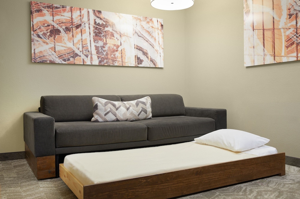Springhill Suites St. Louis Airport Earth City - photo 6