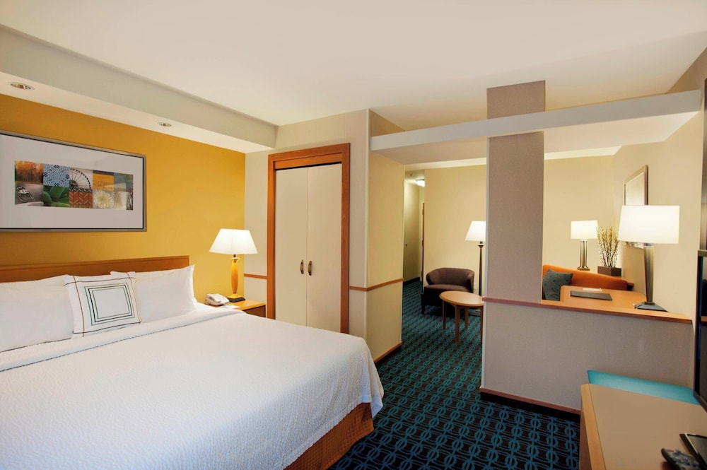 Fairfield Inn & Suites by Marriott Detroit Metro Airport Romulus - photo 9