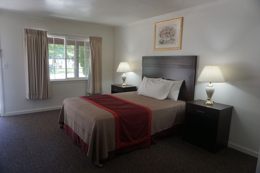Blue Gum Motel - photo 16