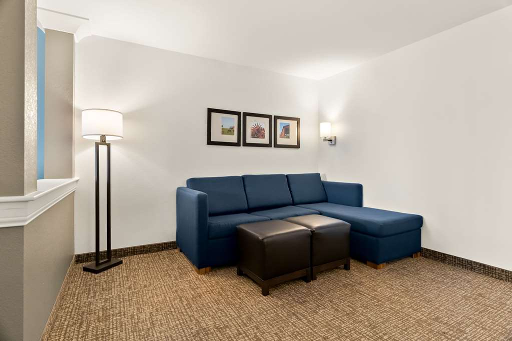 Comfort Suites Rensselaer near Fair Oaks - photo 32