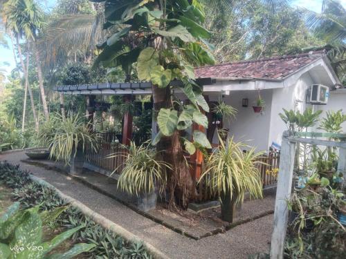 Lovers Green Villa — 4-Star Luxury Hotel in Matara, Sri Lanka