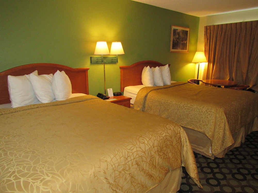 Economy Inn - photo 11