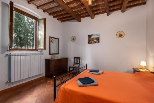 Martignana — Empoli — photo 4