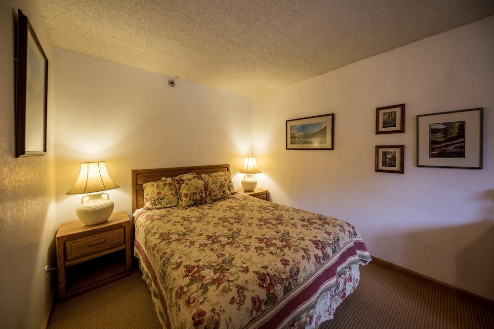 Iron Horse by Stay Winter Park - photo 17