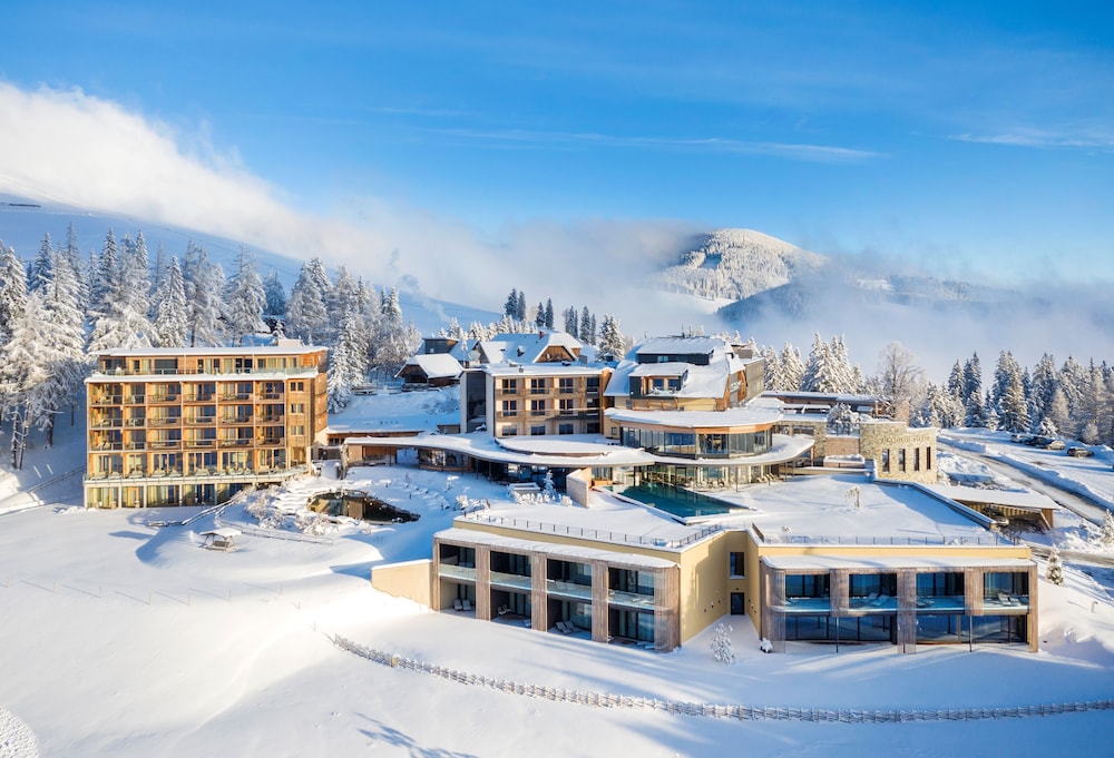 Almwellness Hotel Pierer Superior — hotel in Fladnitz Im Raabtal
