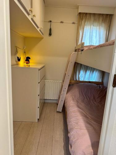 Bos chalet relaxed — Doornspijk — photo 4