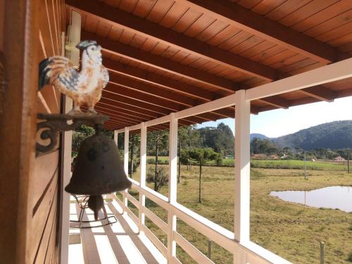 Sitio Rio Cachimbo — Unknown City — photo 4