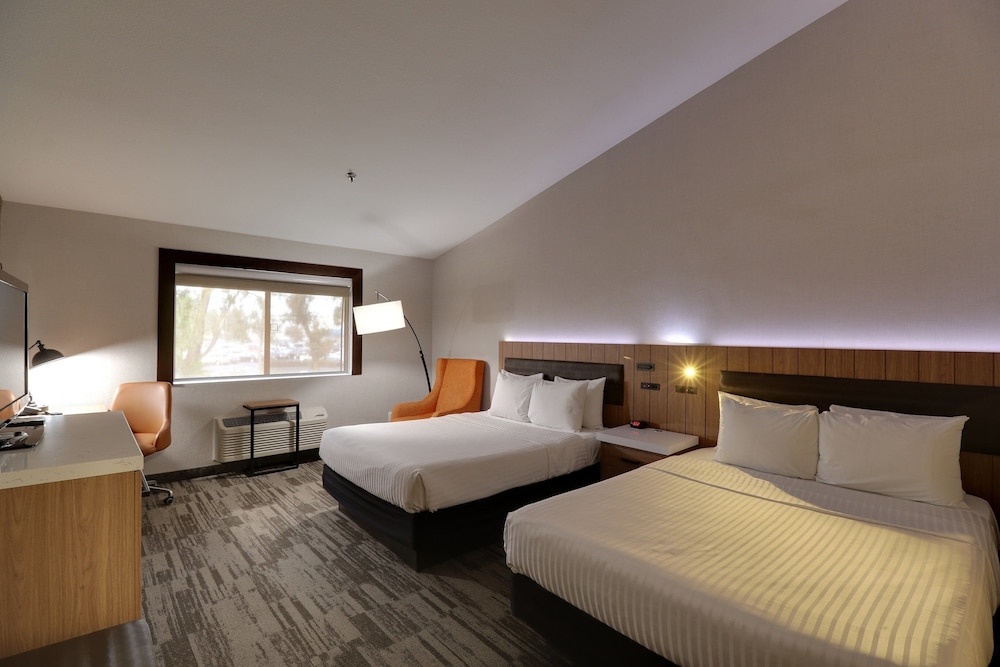 Modesto Hotel - photo 6