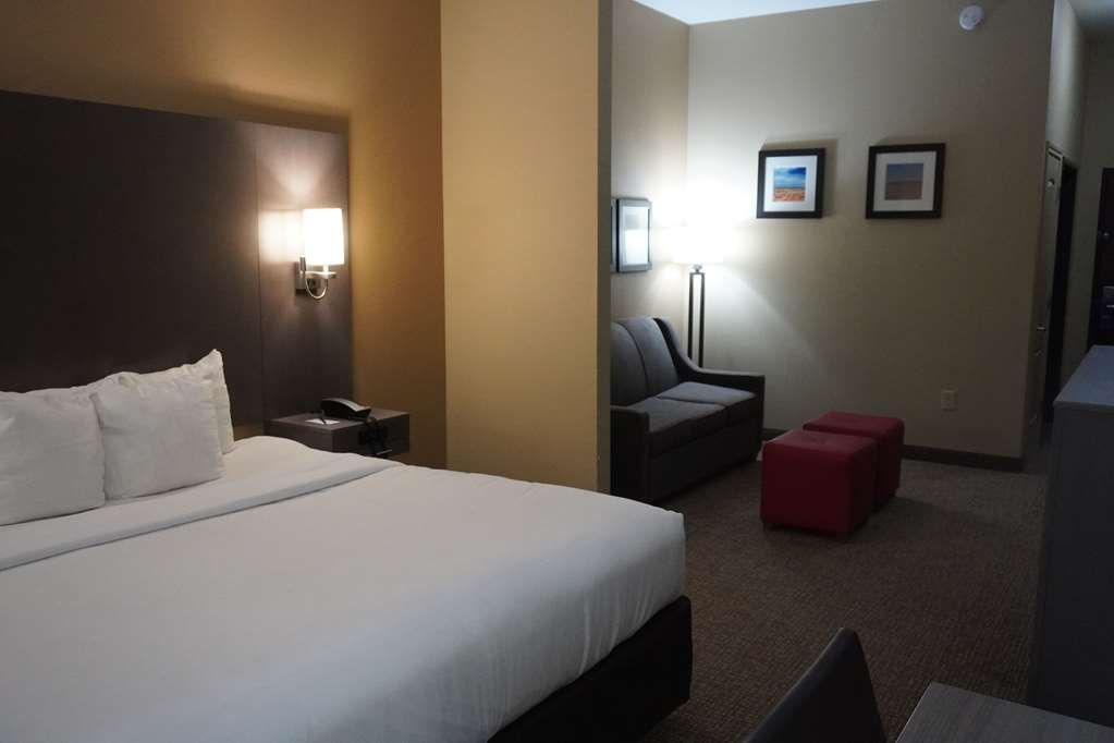 Comfort Inn & Suites Monahans I 20 - photo 18