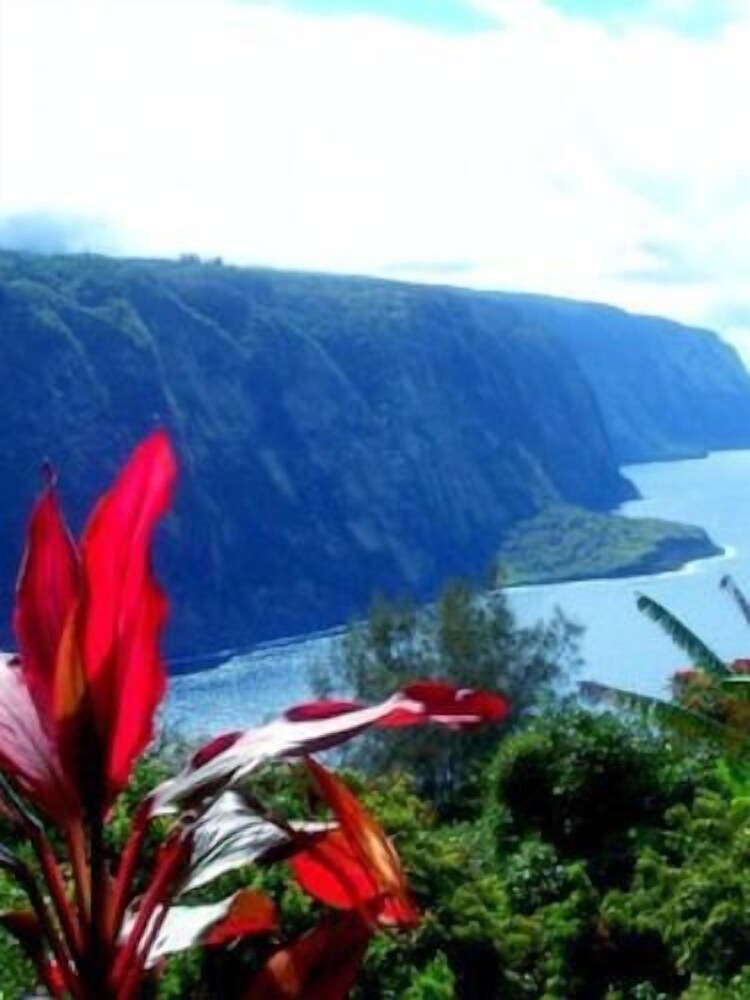 Hale Kukui Orchard & Cottages - photo 51