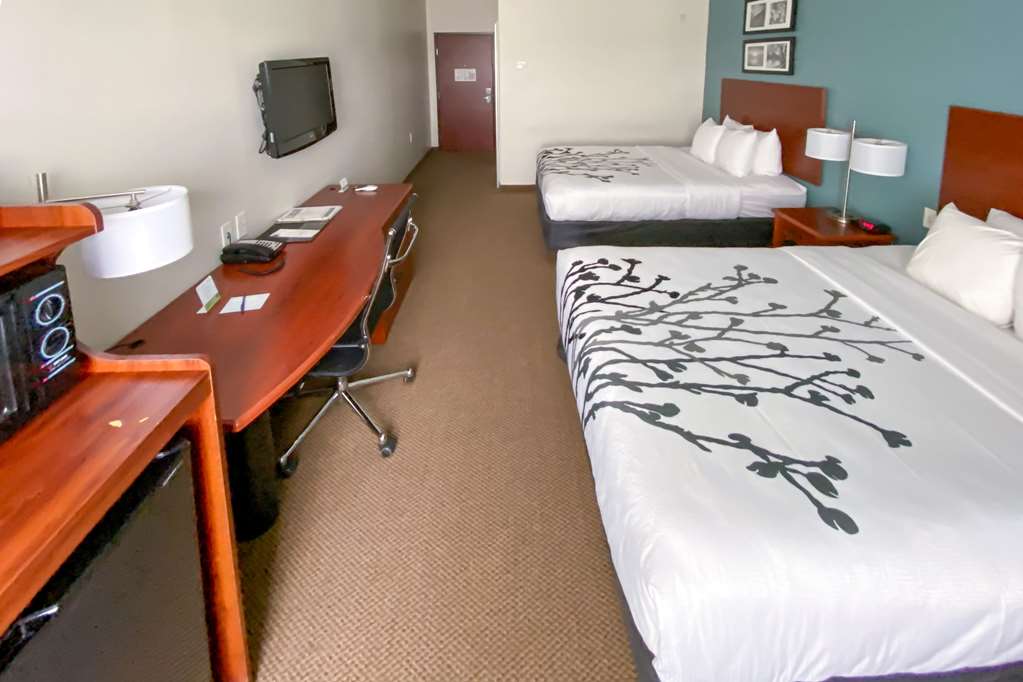 Sleep Inn And Suites Pearland Houston South - photo 6