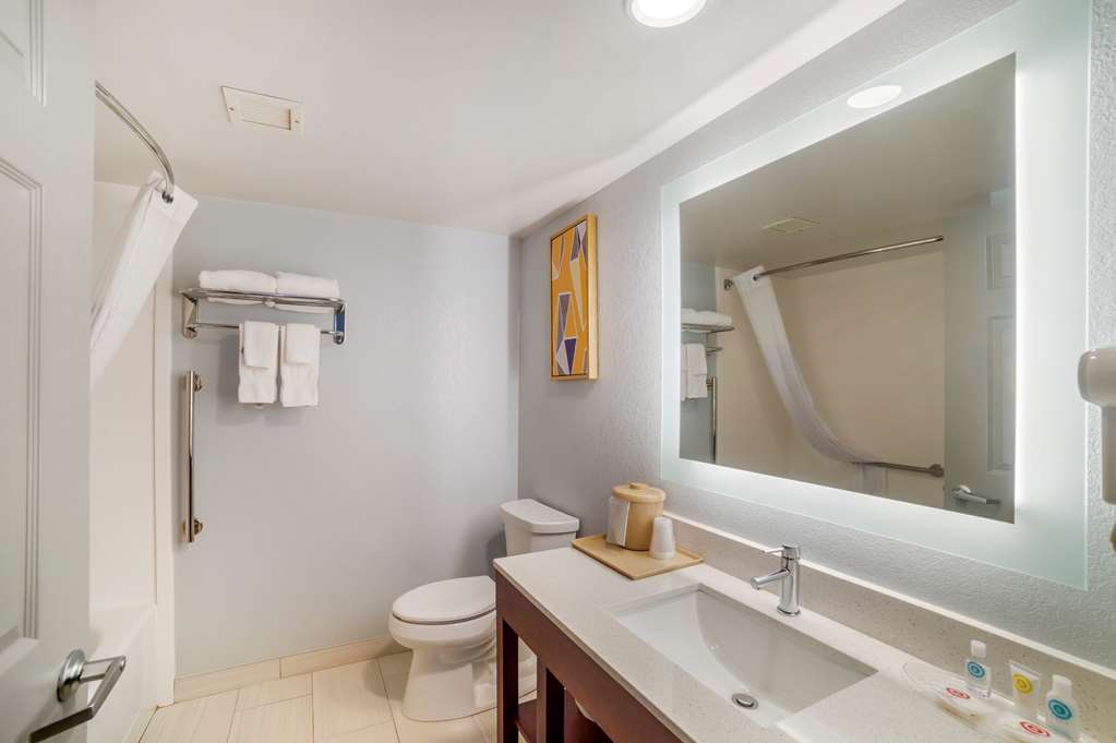 Comfort Inn Asheville Airport - photo 12