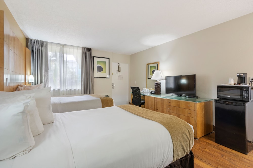 Ocean Reef Hotel - photo 5