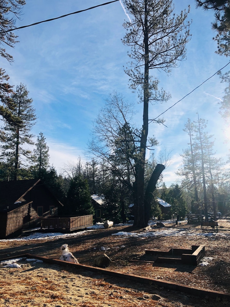 Idyllwild Inn - photo 236