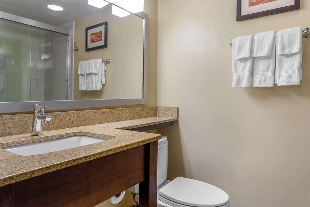 Comfort Inn Hammond I 94 - photo 33