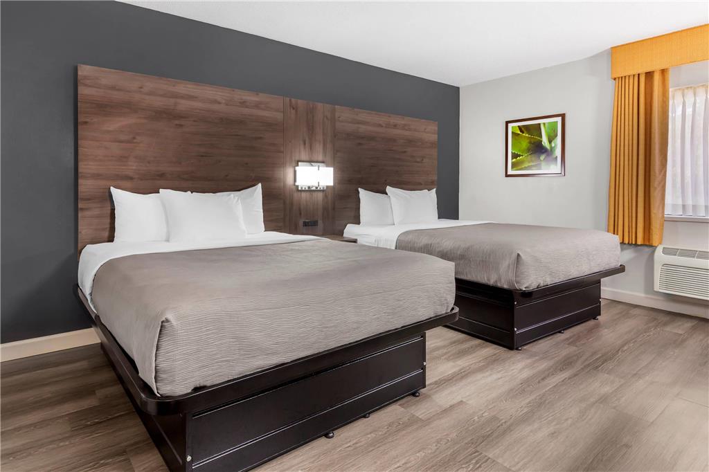 Quality Inn & Suites Raleigh Durham Airport - photo 13