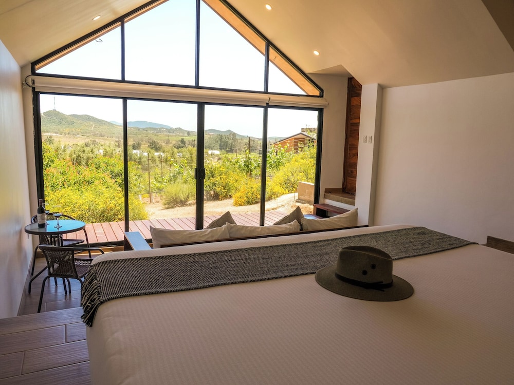7 Valles — Valle De Guadalupe — photo 4