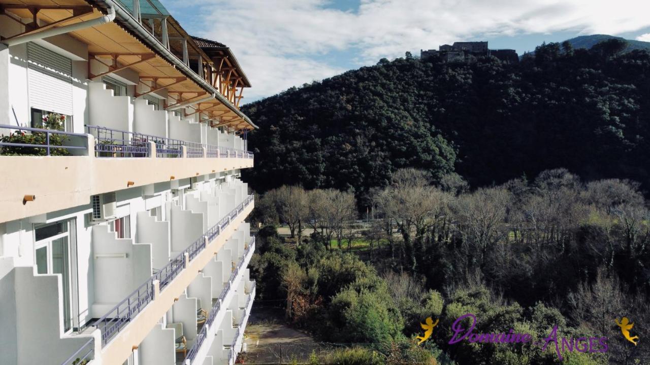 Domaine des Anges — Ceret — photo 3