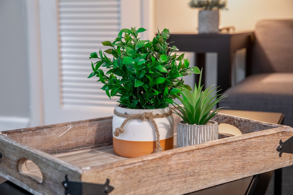 Stay Avenida Westshore - photo 11