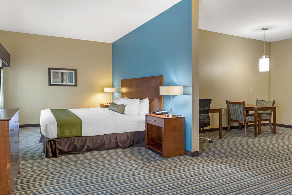 Best Western Plus Patterson Park Inn - photo 3