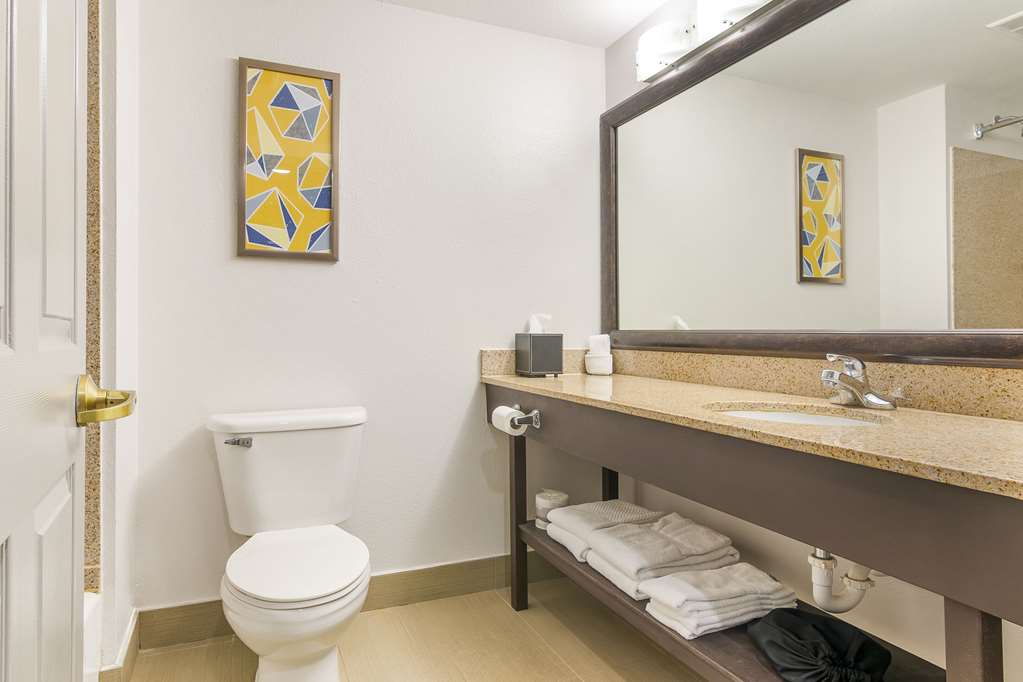 Comfort Inn Near Six Flags St. Louis - photo 24
