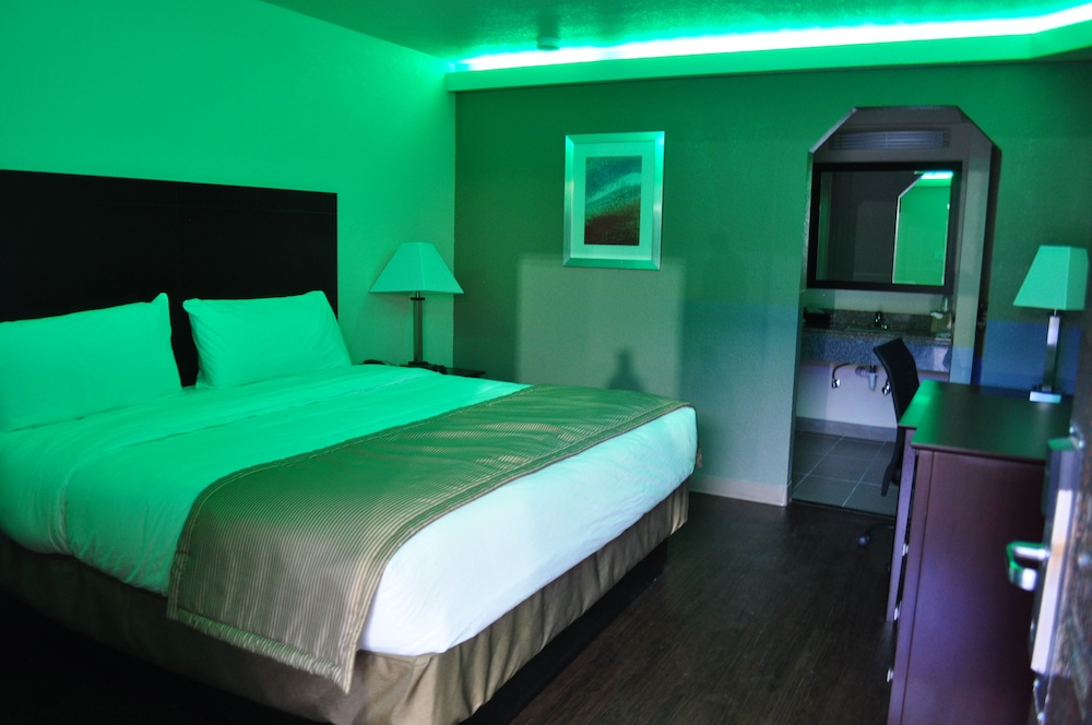Trinity Suites Downtown Dallas - photo 4