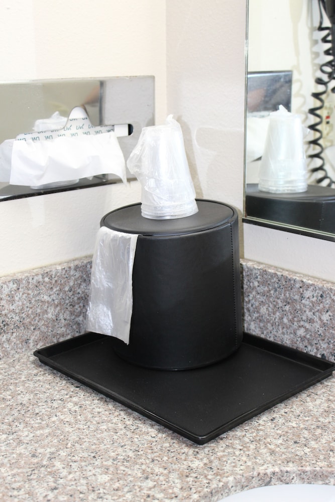 Reston Inn & Suites - photo 46
