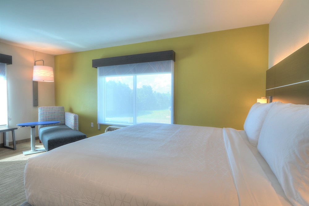 Holiday Inn Express Hotel & Suites Mobile Saraland by IHG - photo 79