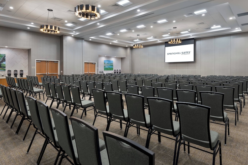 SpringHill Suites by Marriott Lakeland - photo 31