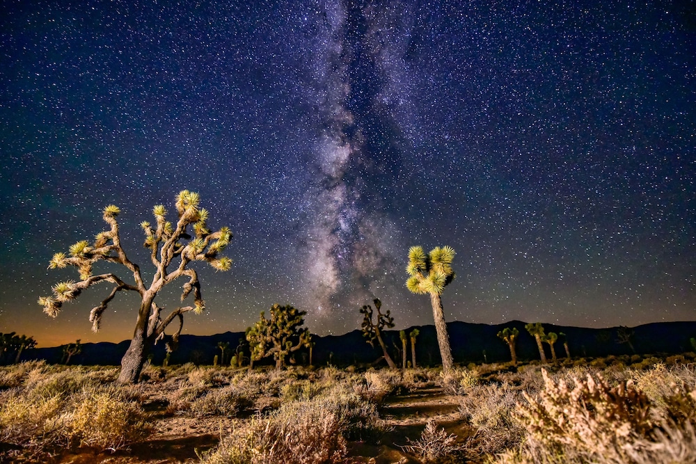 Panamint Springs Resort - photo 94
