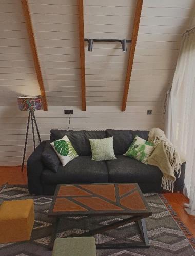 Cottage Toladi