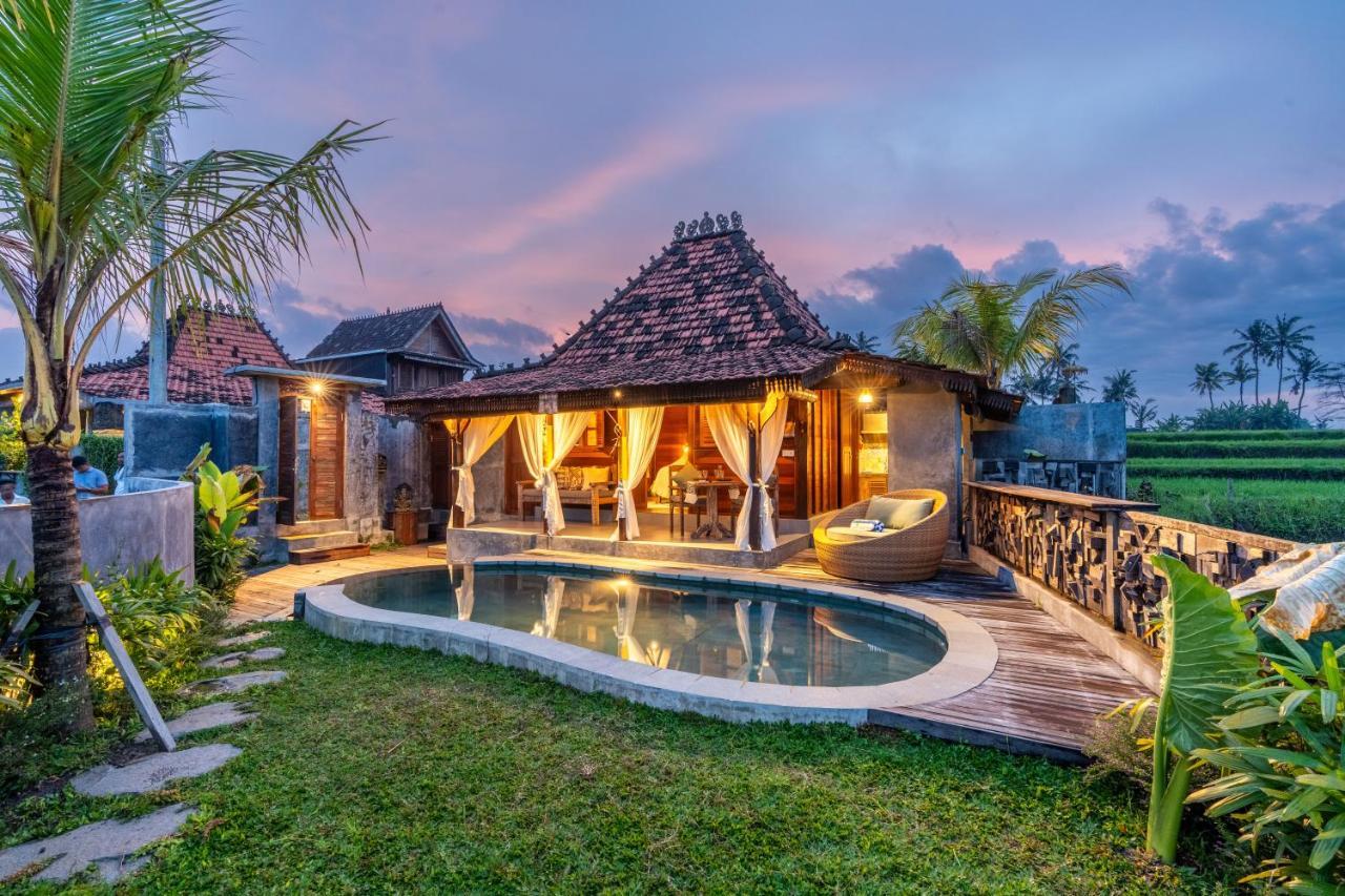 Kayu Senses Private Villas around Endless Ricefield — 4-Star Luxury Hotel in Ubud, Indonesia