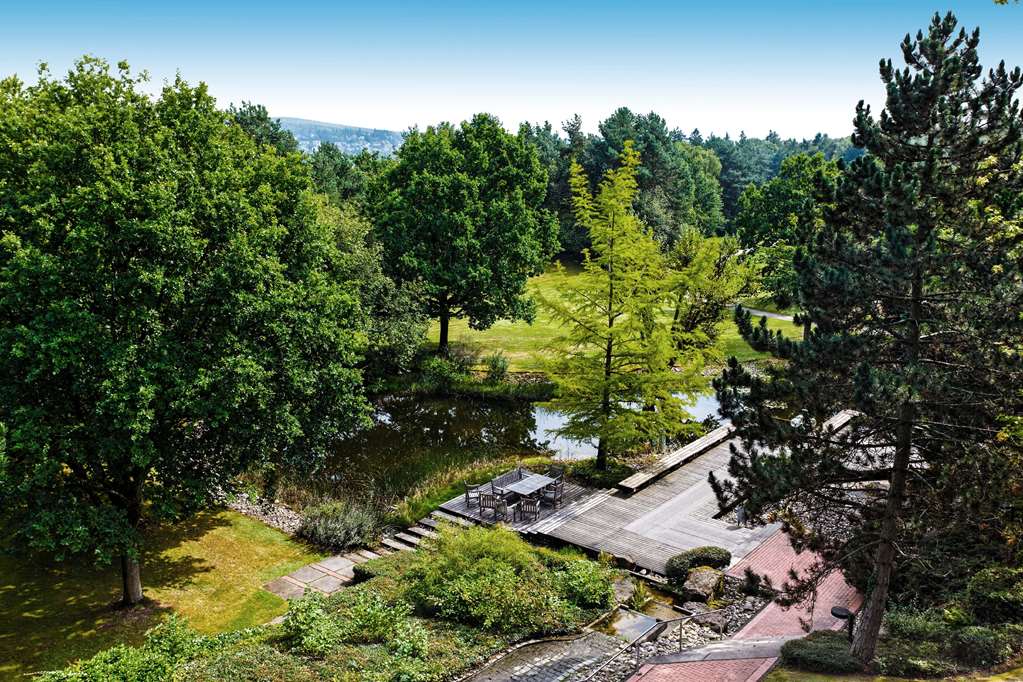 Bold Campus — Koenigstein Im Taunus