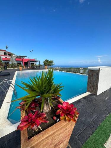 Casa Bella Vista @ Pyramid Point — 4-Star Luxury Hotel in Ocho Rios, Jamaica