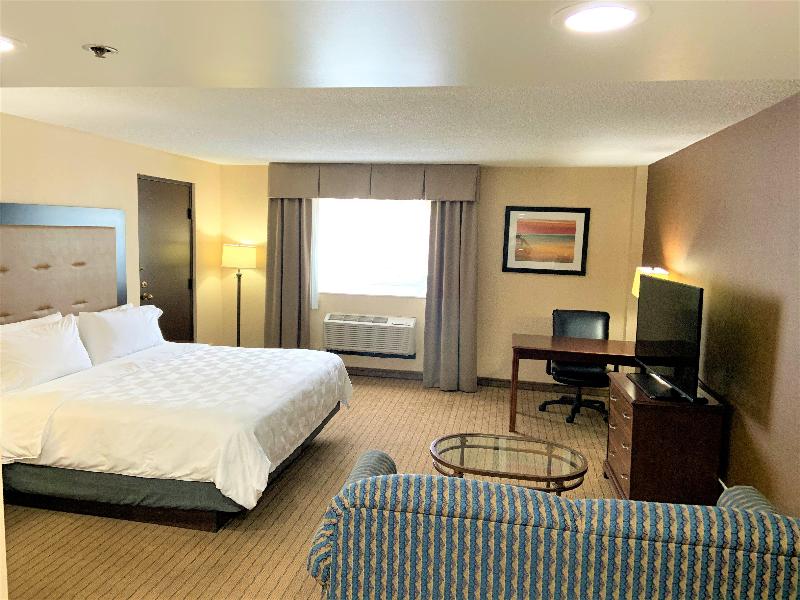 Holiday Inn & Suites Chicago Carol Stream by IHG - photo 22