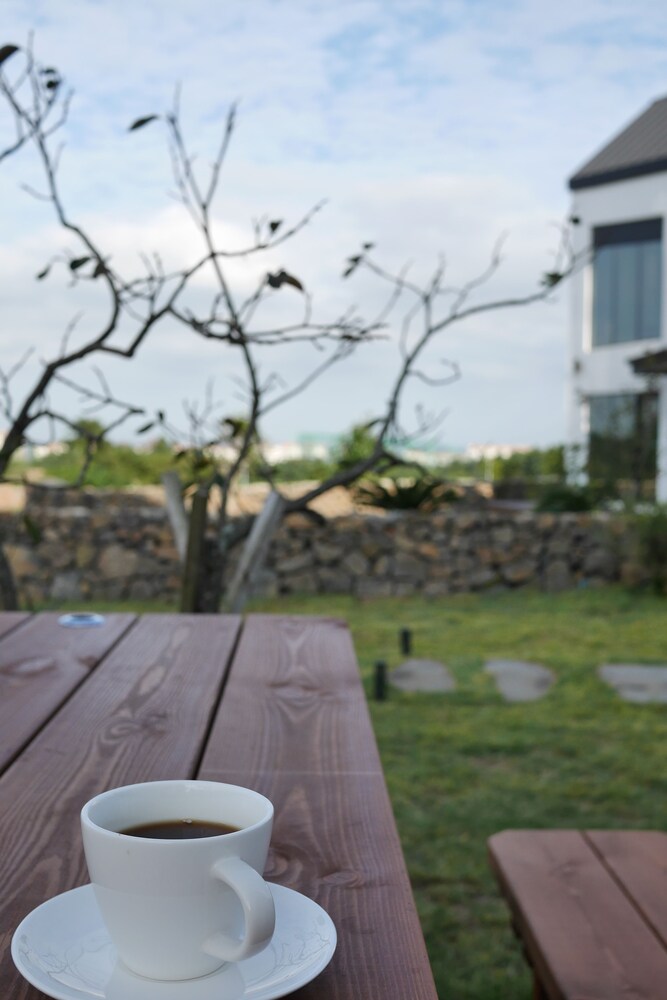 Forest 813 - last minute hotel in Jeju City