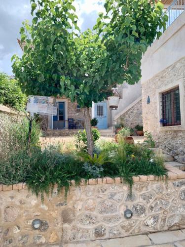Kranidi House. — Kranidi — photo 5