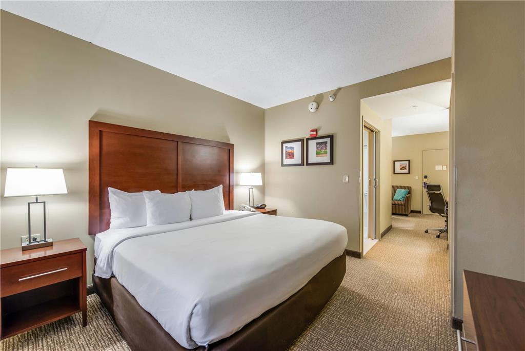 Comfort Suites Chicago O'Hare Airport - photo 16