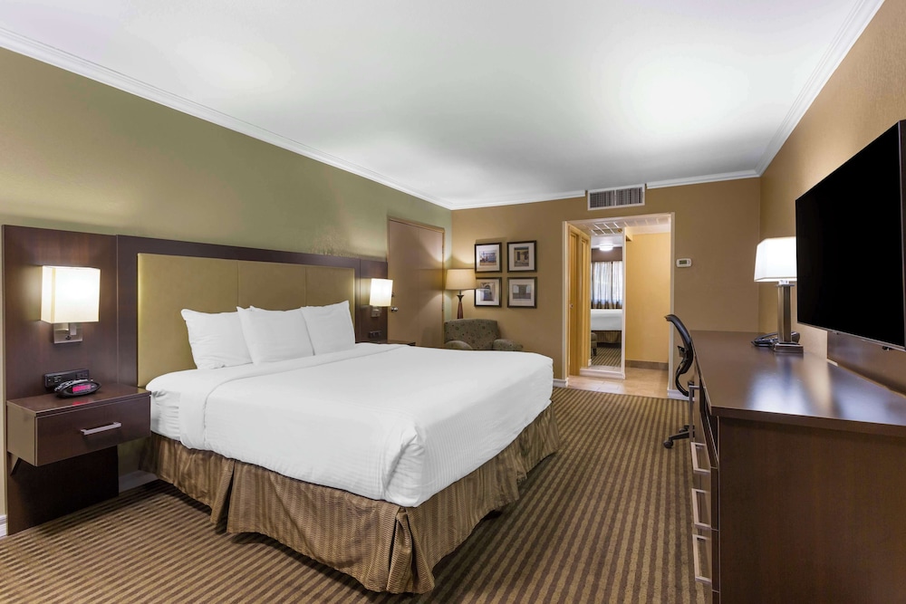 Royal Sun Hotel & Suites - photo 9