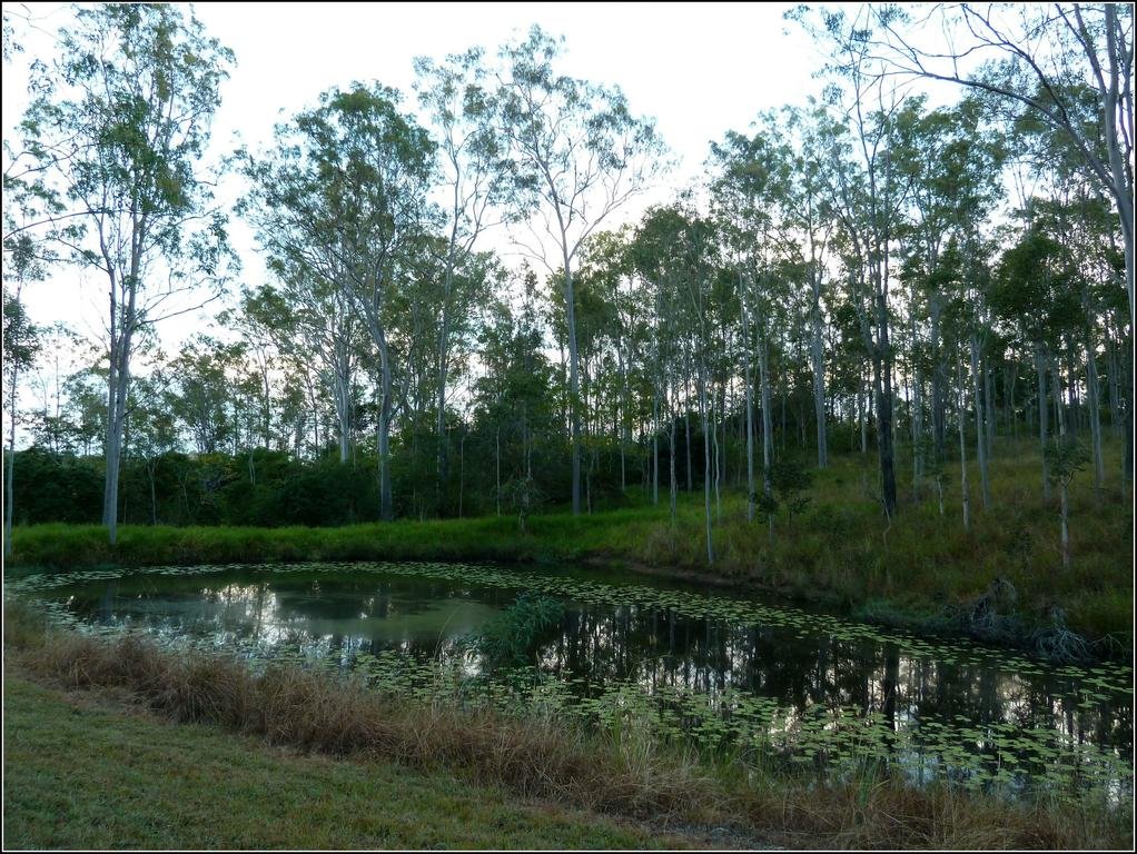 Hideaway Haven Bed and Breakfast — Bundaberg — photo 4
