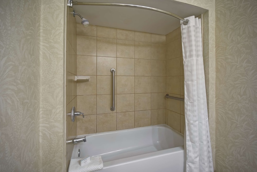 Embassy Suites by Hilton Charleston Historic District - photo 23