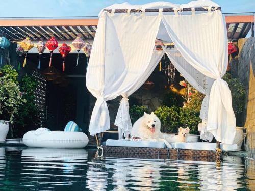 Dakini Villa 8BR private space with swimming pool AC — 4-Star Luxury Hotel in Da Nang, Vietnam