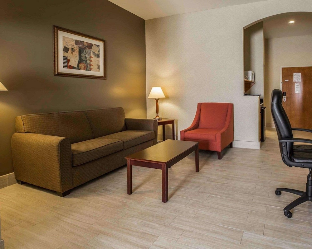 Comfort Suites Stafford Near Sugarland - photo 10